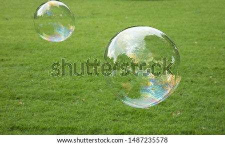 soap bubbles against the green grass background