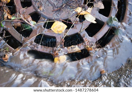 Grid of storm sewers with mud flowing into it. Autumn