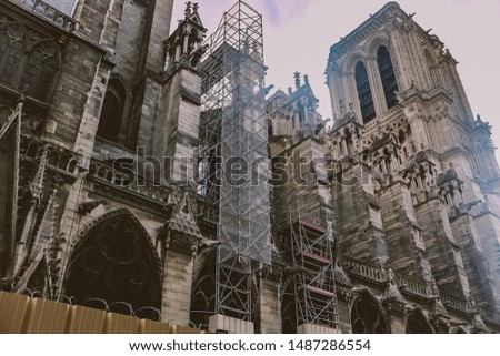 Notre Dame de Paris Cathedral after the fire