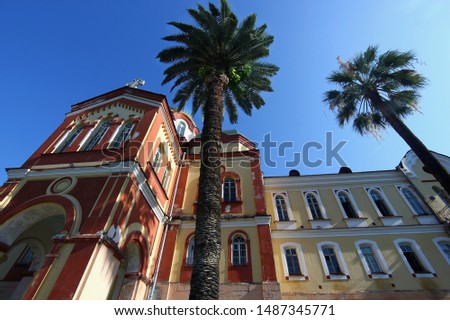high palm tree on the background of a beautiful building and blue sky

