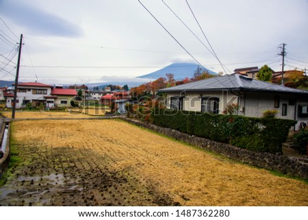 Local Japanese houses with farmland and Mountain Fuji or Fujisan in autumn, Shimoyoshida, Yamanashi, Japan. Here is a place to go to Chureito pagoda by walk from train station.