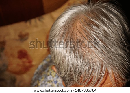 Gray hair on the head and scalp of the elderly Top and close angle photos  