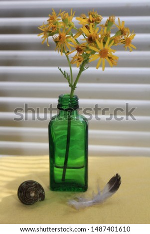 spa style picture with flower,  shell and feather.