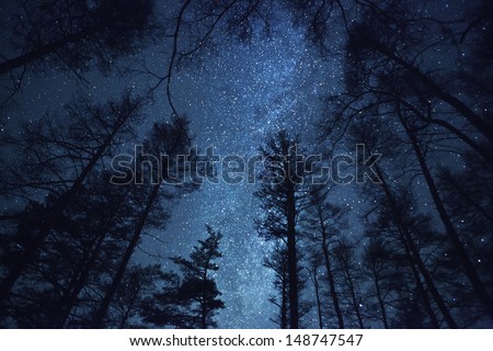 a beautiful night sky, the Milky Way and the trees Royalty-Free Stock Photo #148747547