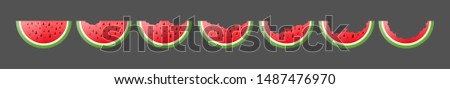 Flat ripe watermelon pieces set with different amounts of bites on gray background. Isolated vector illustration