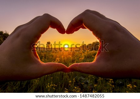 Hands in the shape of heart against the sunrise over the field with flowers in the summer with a sky background. Landscape.