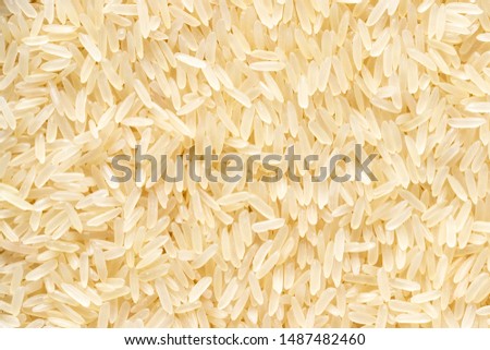 Rice grains background or texture. Gluten-Free and healthy vegeterian food.