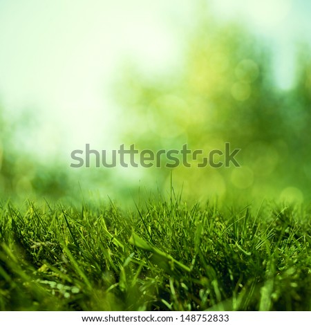 Abstract natural backgrounds with beauty bokeh Royalty-Free Stock Photo #148752833