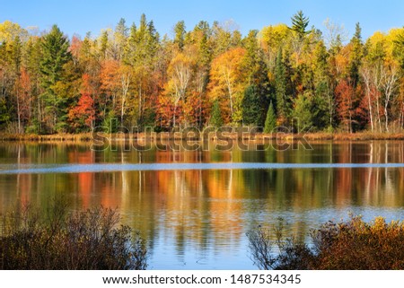 Fall colors reflecting in a Upper Michigan lake, Hiawatha National Forest near Munising. 