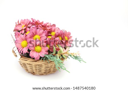 flower head of chrysanthemum in the basket