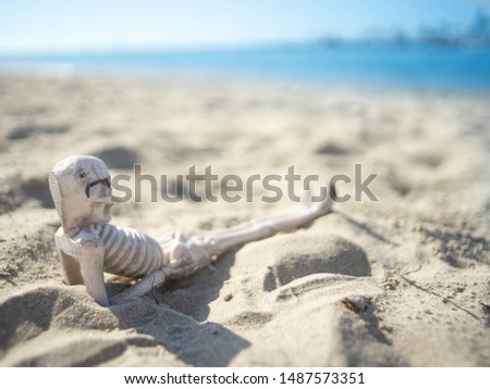 Halloween skeleton  at beach with sunglasses, sandy bottom and blue water and sky