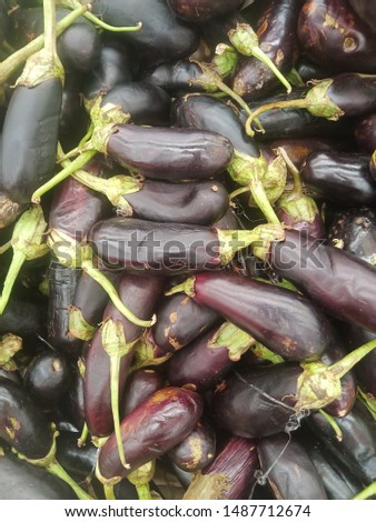 pic of eggplant vegetables background