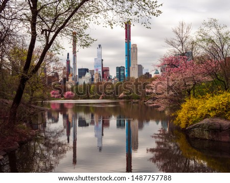 New York Central Park view Spot during Spring
