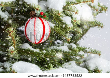 Red and white ball on a snowy Christmas tree