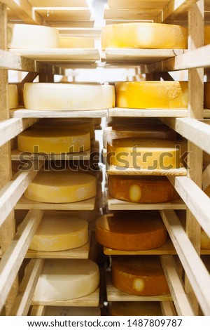 Cow milk cheese, stored in a wooden shelves and left to mature. Handmade product