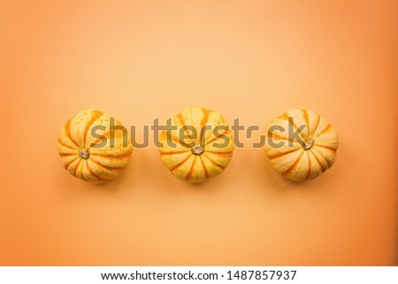 Autumn frame made of pumpkins isolated on pastel orange background. Fall, Halloween and Thanksgiving concept. Styled stock flat lay photography. Top view. Empty space for your text.