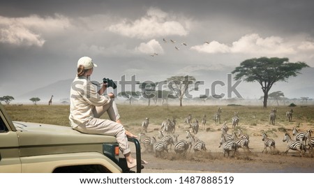 Woman tourist on safari in Africa, traveling by car in Kenya and Tanzania, watching zebras and antelopes in the savannah.
Adventure and wildlife exploration in Africa. Serengeti National Park. Royalty-Free Stock Photo #1487888519