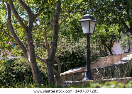 A Sunday in June on a farm in Puglia, a region of southern Italy. An old lamp with some sign of the time against the background of a stone path in the trees.