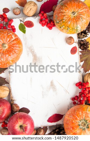 Whole decorative little raw pumpkin on dark wooden background, harvest, atmospheric picture of autumn. Rowan, dry leaves, season. Background with copy space