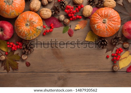 Whole decorative little raw pumpkin on dark wooden background, harvest, atmospheric picture of autumn. Rowan, dry leaves, season. Background with copy space