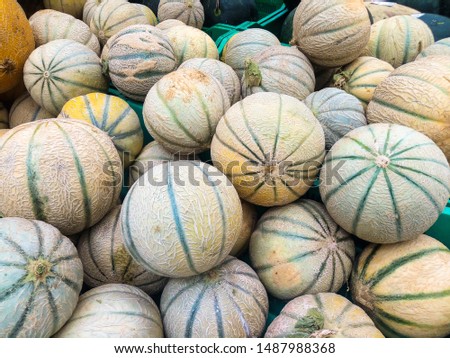 ripe juicy sweet melons on supermarket counter