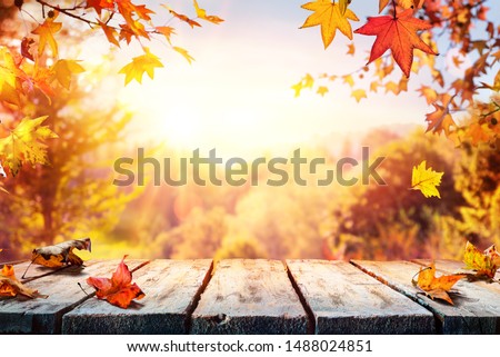 Autumn Table With Red And Yellow Leaves And Forest Background
