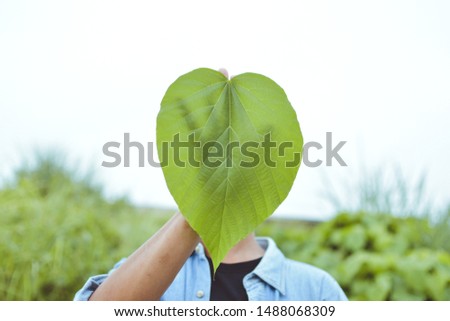 close up of man hold green leaf conceal he face with green nature  background.heart shape of green leaf