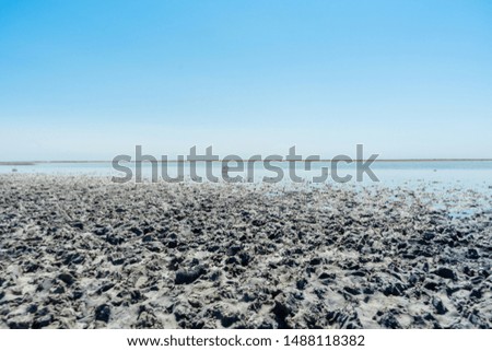 Close up view on interesting landscape with salt lake Sivash and healing mud. A beach with an unusual texture for planet earth. Space landscape. Travel photo concept.