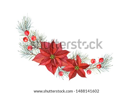Watercolor arch arrangement of Christmas Stars. Hand painted illustration with poinsettia flowers, pine tree, red berries. Winter holiday wreath isolated on white for greeting card and festive decor