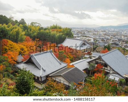 Roof of japanese temple with colorful maple trees at autumn season for background with copy space, Kyoto, Japan