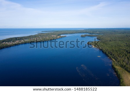 Aerial view from drone on summer forest and lake. Wild nature