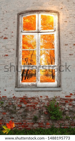 Autumn from retro window in the middle of  abandoned brick wall 