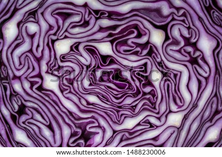 Background of the blue cabbage in the cut, macro photography. Close up, top view. Texture raw purple cabbage
