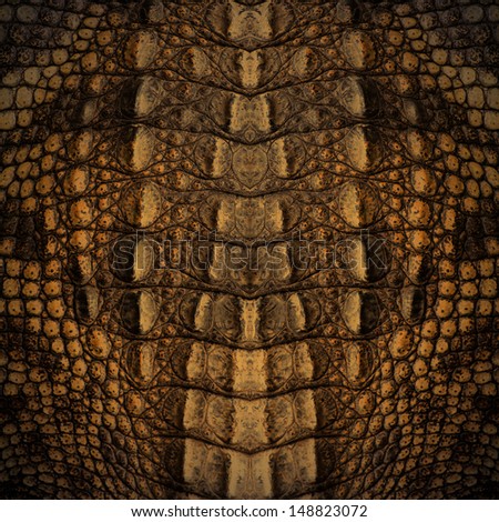 Crocodile skin texture Royalty-Free Stock Photo #148823072