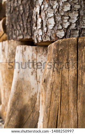 Lots of wooden logs in Madrid, Spain. (Vertical)