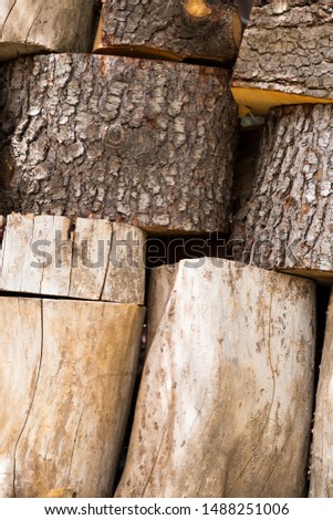 Detail of lots of wooden logs in Madrid, Spain. (Vertical)