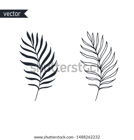 Palm branch contour and shape isolated on white background, vector illustration.