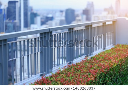 bush and fence in garden on rooftop of high-rise condominium in city at sunset, shallow depth of field