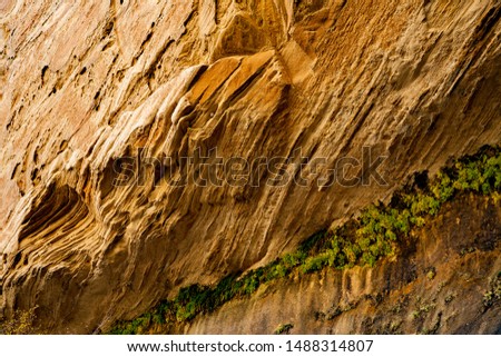 View of canyon walls along calf creek trail, Grand Staircase-Escalante National Monumentt, Utah Royalty-Free Stock Photo #1488314807