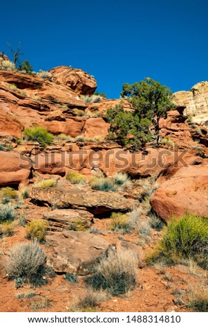 View of rocky hillside along calf creek trail, Grand Staircase-Escalante National Monument, Utah Royalty-Free Stock Photo #1488314810