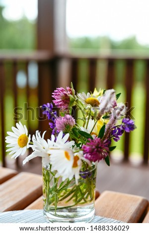 Beautiful summer bright purple, pink, flowers dark green leaves, lilies, asters, phlox, pansies, hydrangea, daisies, immortelle, petunia, cornflowers