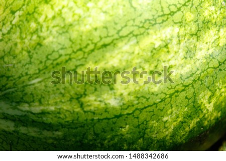Close up of watermelon rind