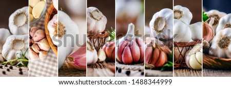 Fresh Garlic collage of various healthy food pictures. Large edilus mushroom details collection. Background banner or wide panorama photo.