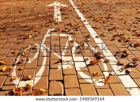Bicycle sign on the road on the background of yellow autumn leaves