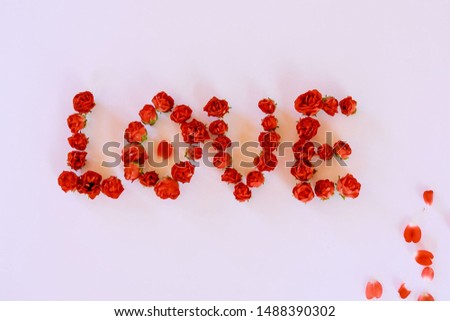The word LOVE written in red roses on a white background. Perfect for Valentine's Day.