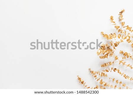 Autumn composition. Gold spray painted natural eucalyptus branches on white background. Flat lay, top view, copy space. Minimal concept