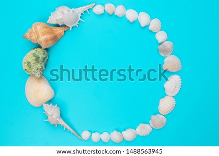 The concept of a seashell picture frame placed on a blue background.
