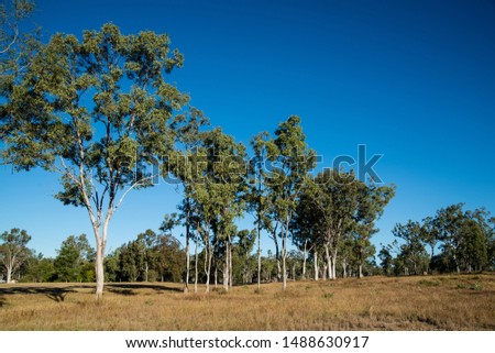 The photo of outback, Australia
