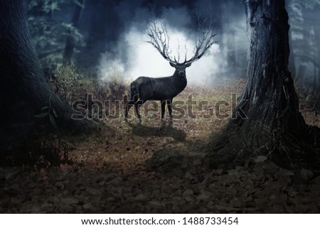 beautiful wild brown deer in a forest