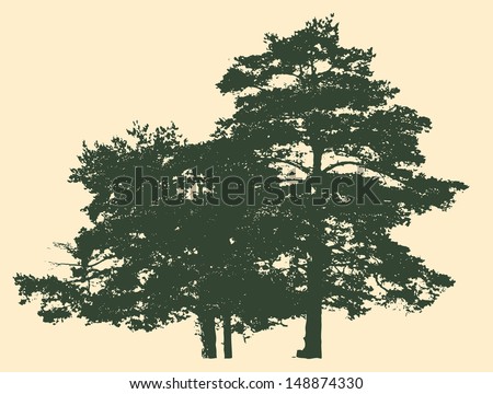 two pines silhouette. detailed vector illustration 